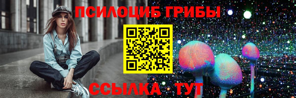 Псилоцибиновые грибы мицелий Балахна