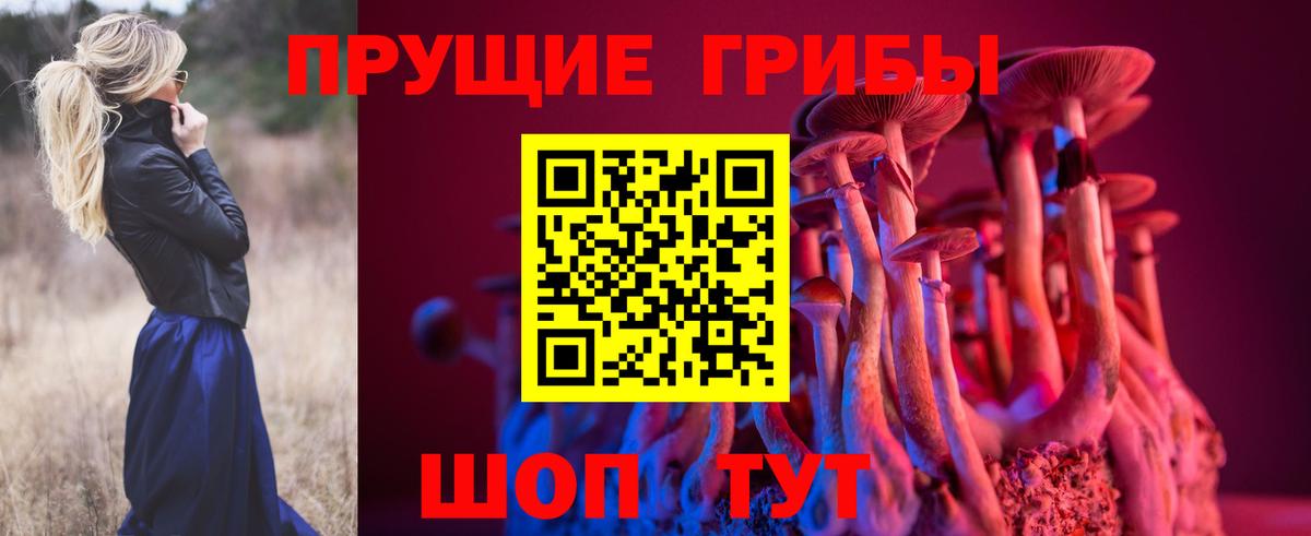 Балахна  Псилоцибиновые грибы Psilocybine cubensis  Вход с VPN 