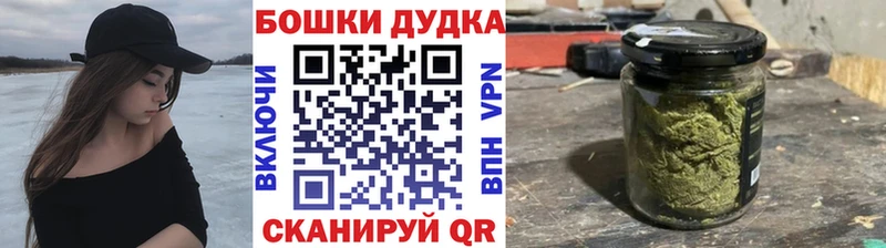 Бошки Шишки план Балахна
